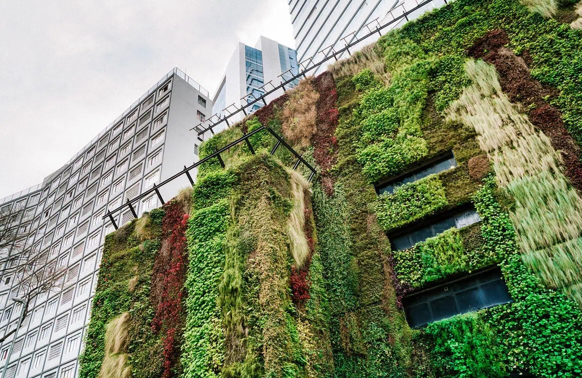 Projet immobilier à faible émission de carbone